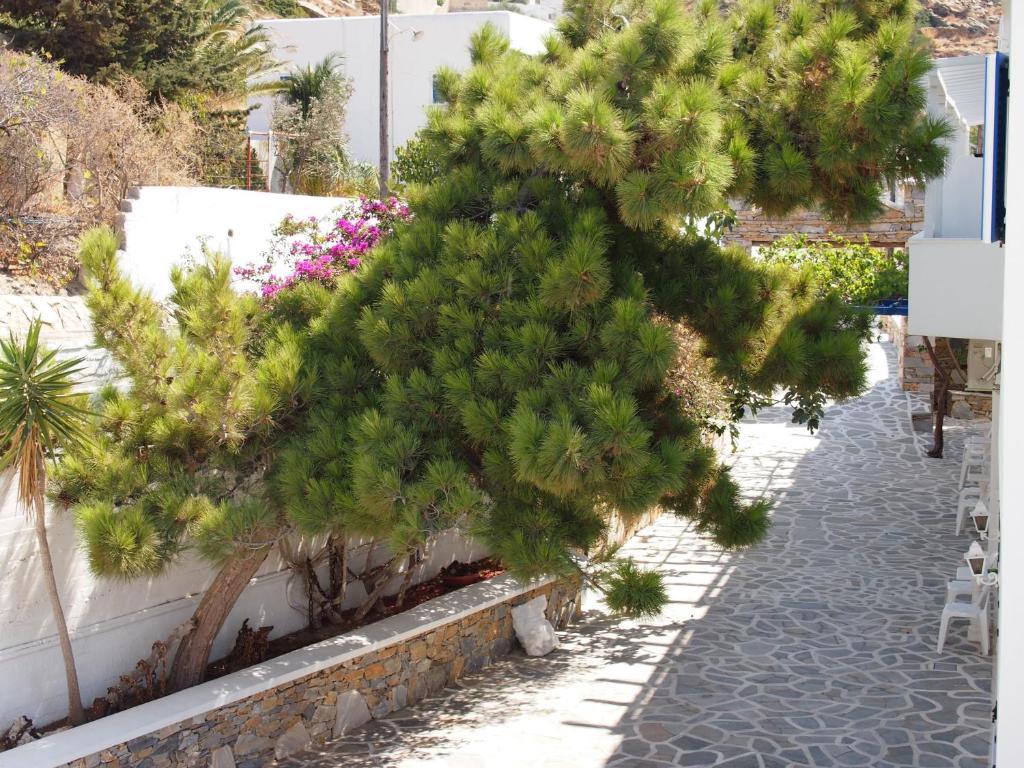 Homer'S Inn Hotel Chora Exterior foto
