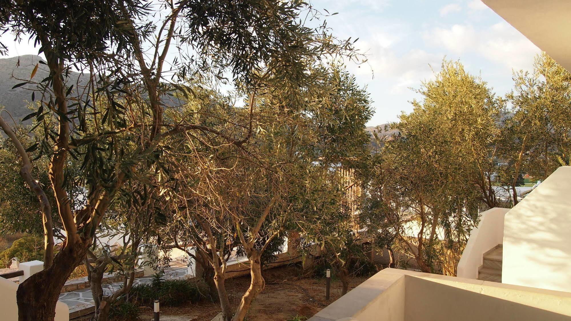 Homer'S Inn Hotel Chora Exterior foto